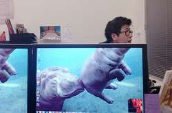 Как развлекаются офисные работники: курьезные фото