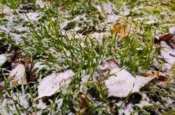  У Києві сьогодні вдень невеликий дощ, температура 4-6° 