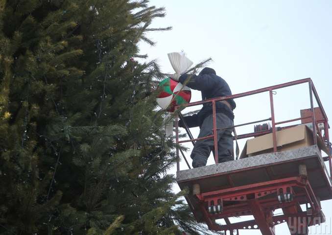 Во сколько обойдется главная новогодняя елка Украины: названа стоимость
