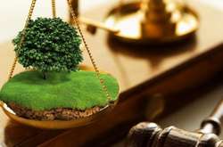 Земельні торги є ефективним способом наповнення міського бюджету