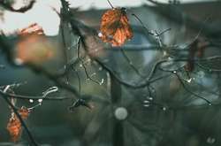 У Києві прогностична синоптична ситуація явно вказує на опади, дощ з переходом у мокрий сніг, проте й не без прояснень, - Діденко