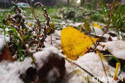 Похолодання та дощ з мокрим снігом: прогноз погоди в Україні на суботу