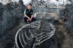 У Таїланді знайшли скелет кита, якому приблизно п’ять тисяч років