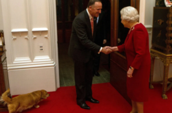 Елизавета II тяжело переживает смерть своей любимицы