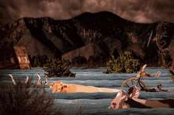 Вчені спрогнозували «мегакатастрофу» в США