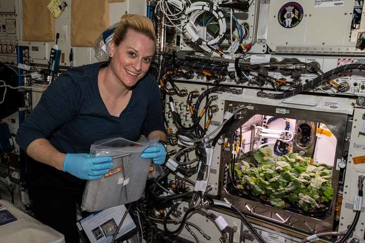 Астронавти NASA зібрали перший урожай «космічної» редиски