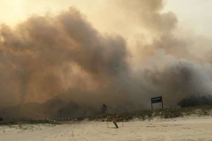 В Австралії через лісові пожежі згоріла половина острова зі спадщини ЮНЕСКО, мешканців евакуюють