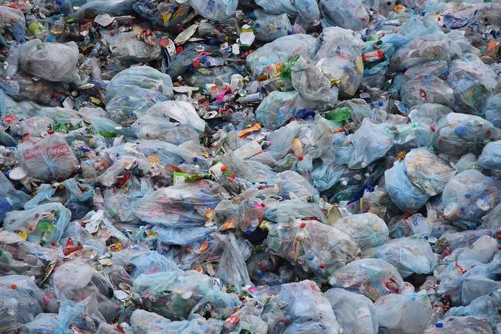 Заборона пластикових пакетів в Україні: комітет Ради підтримав законопроект 