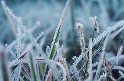 Мороз та сильний вітер: прогноз погоди в Україні на 9 грудня