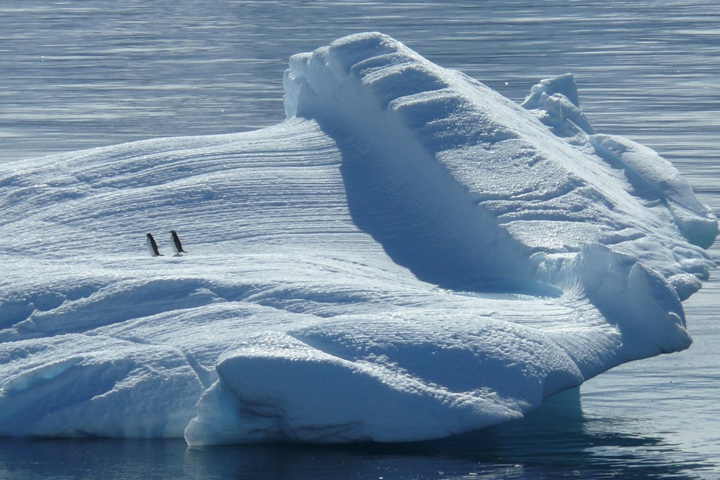 На Північному полюсі зафіксували рекорд потепління – Arctic Report Card 2020