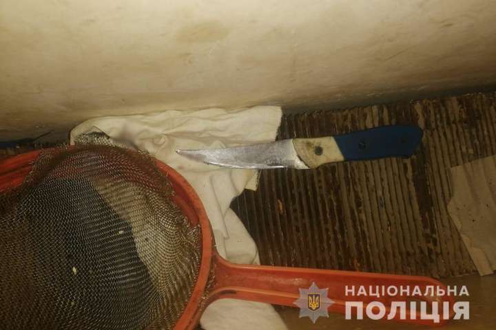 На Київщині чоловік встромив ножа у свого брата 