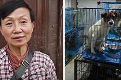 Когда не можешь остановиться. Китаянка приютила в квартире 1300 собак