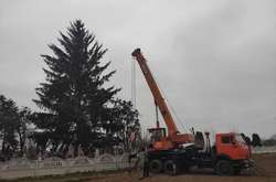 Какой год, такая и елка: в центре Дубно установят зеленую красавицу, срубленную на кладбище