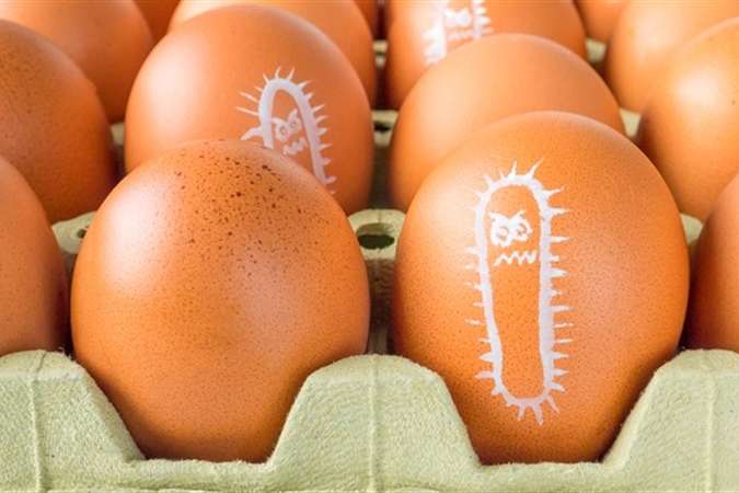 Латвія знайшла в українських яйцях сальмонелу
