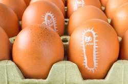 Латвія знайшла в українських яйцях сальмонелу