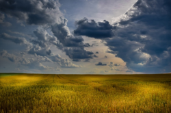 Мін'юст пояснив, що загрожує власникам землі у 2021 році зі старими державними актами на землю