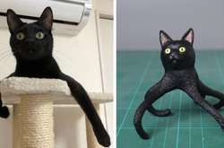 Японец превращает животных из мемов в фигурки: курьезные фото