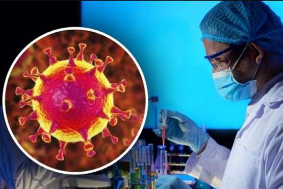 У Великій Британії науковці виявили новий вид коронавірусу