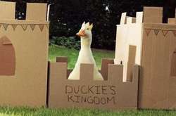 Эти очаровательные уточки способны завоевать ваше сердце с первого «кря»