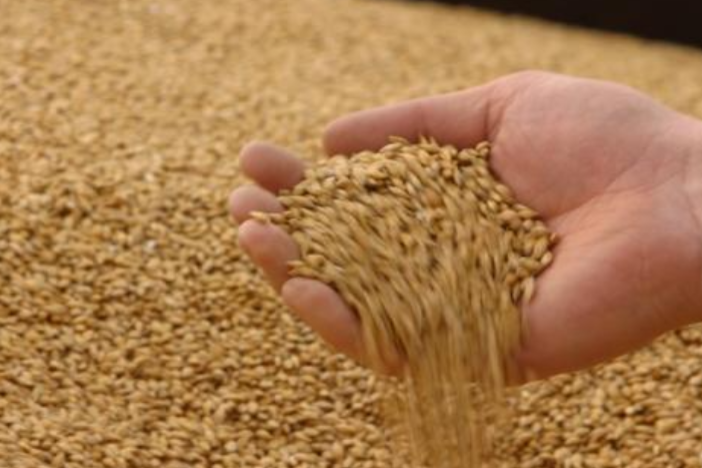 Україна зібрала найнижчий врожай зернових за останні три роки