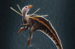 Найден новый вид динозавров размером с курицу (фото)