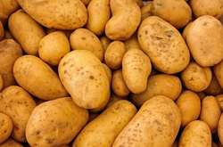 Почему полезно есть картофель: восемь важных для здоровья причин