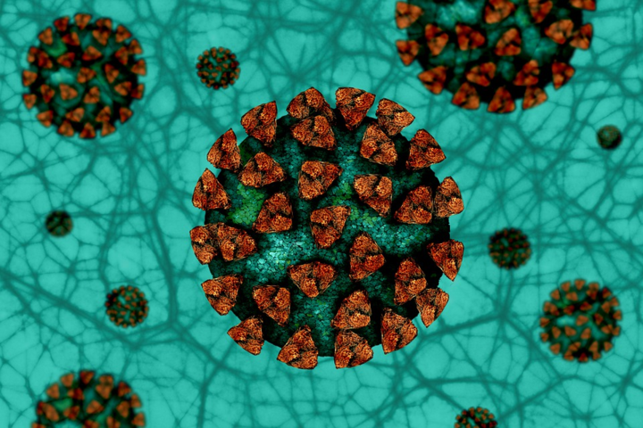 Вчені підтвердили смертельний вплив коронавірусу на мозок