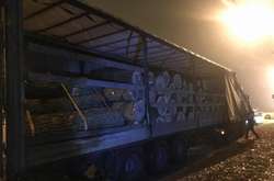 Під Києвом поліція затримала вантажівку з незаконно вирубаним лісом (фото)