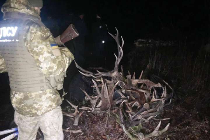 У Чорнобильській зоні затримали групу чоловіків, які збирали роги диких тварин