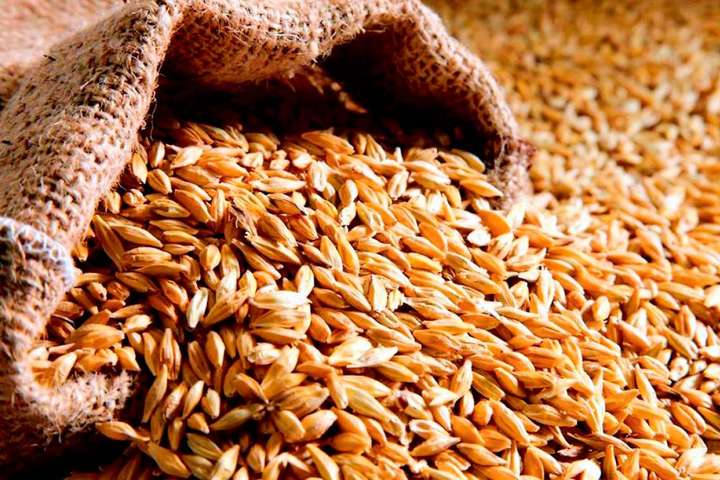 Мінекономіки повідомило про запаси зернових та бобових культур в Україні