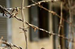 Вбивці проведуть у в'язниці понад 10 років