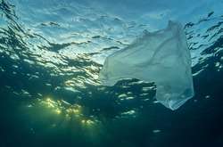  Засміченість Чорного моря вдвічі перевищує аналогічний показник Середземного 