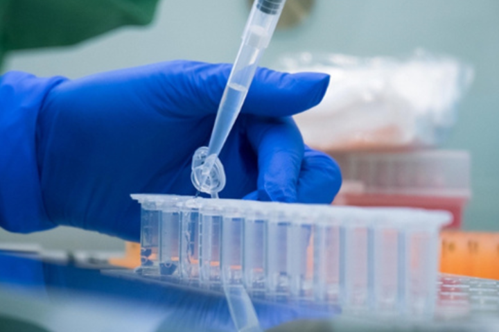 Український антигенний тест виявляє навіть мутований коронавірус ─ НАН