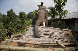 Індія оприлюднила дорожню карту щодо розвитку водневої економіки