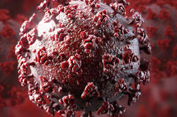 Надмірне вживання антибіотиків під час пандемії стимулює мутацію збудника гонореї