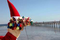 У Єгипті не буде ніяких новорічних святкувань або зборів у зв'язку з карантинними заходами