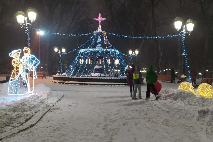 Новорічна романтика: фонтан у Маріїнському парку засяяв вогнями (фото)