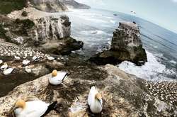  Фото: @filmbayona 
  