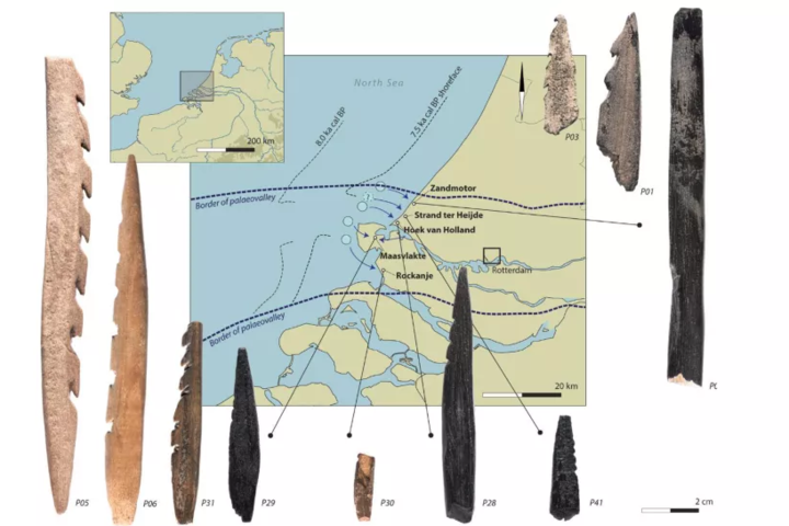 Нідерландські археологи знайшли зброю з людських кісток, якій 11 тисяч років