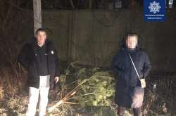 Вночі чоловік і жінка несли свіжозрубане хвойне дерево