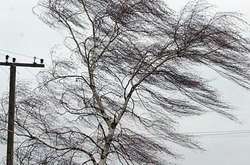 Рятувальники попередили українців про штормовий вітер і туман