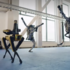 Новогодний танец человекоподобных роботов Atlas и робота-собаки Spot