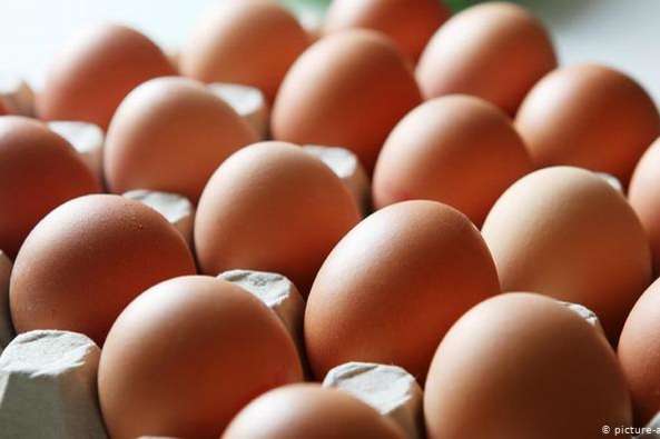 Експерти назвали причину зростання ціни на яйця