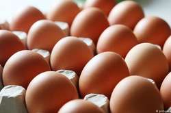 Експерти назвали причину зростання ціни на яйця