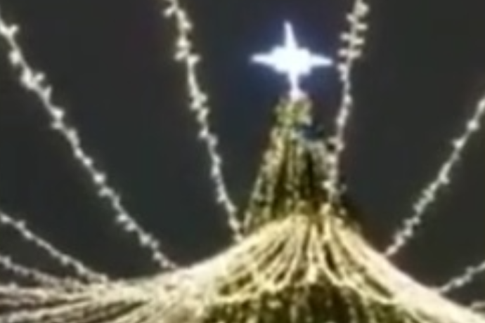 Російський «спайдермен» у новорічну ніч видерся на 24-метрову ялинку (відео)