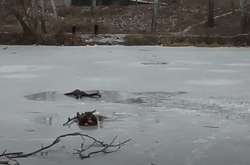 В місті Суми на річці Псел під кригу провалилося двоє чоловіків