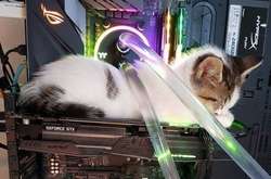 Когда взаимодействие с техникой пошло совсем не так, как нужно: курьезные фото