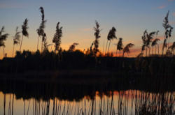 У Закарпатській області може піднятися вода у річках