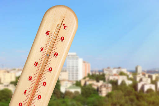 Минулий рік у Києві був найтеплішим за 140 років