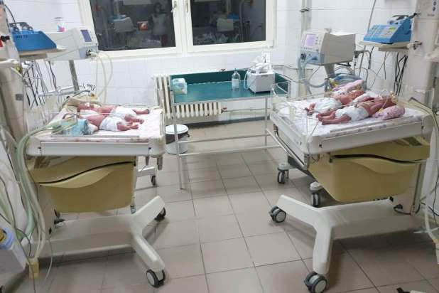Большое пополнение: в Ужгороде женщина родила сразу четверых малышей